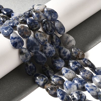 Natural Blue Spot Jasper Beads Strands G-I377-A12-1