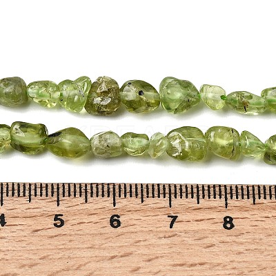 Natural Peridot Beads Strands G-H346-A01-01-1