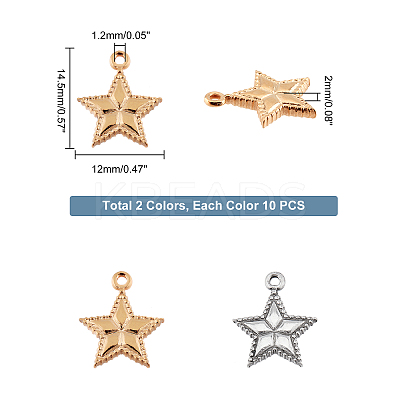 20Pcs 2 Colors 304 Stainless Steel Charms FIND-DC0001-13-1