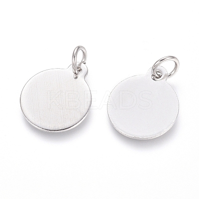 Non-Tarnish 304 Stainless Steel Charms LS-STAS-I124-02A-P-1