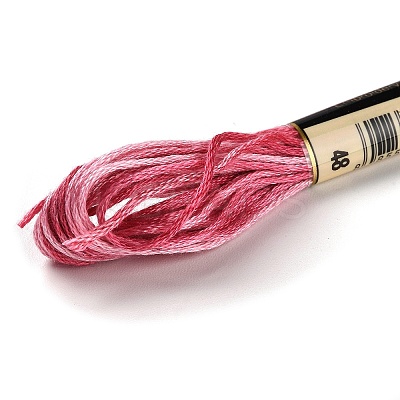 10 Skeins 6-Ply Polyester Embroidery Floss OCOR-K006-A58-1