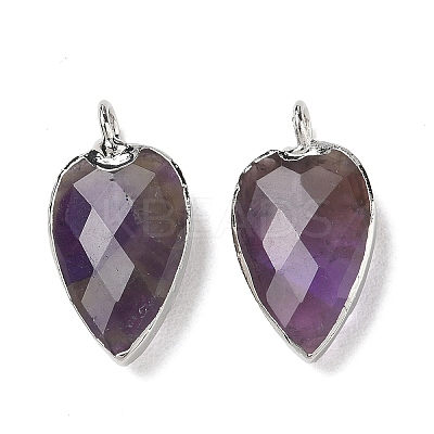 Natural Amethyst Pendants G-G012-13P-07-1