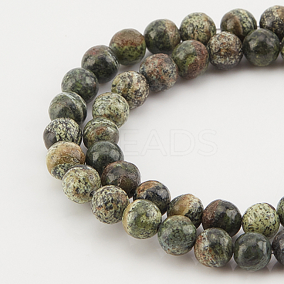 2 Strands Natural Green Zebra Jasper Beads Strands G-OC0002-74-1