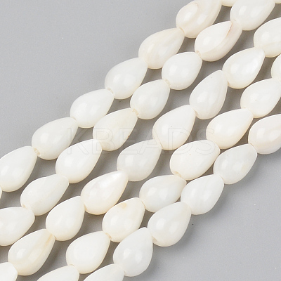 Natural Freshwater Shell Beads Strands X-SSHEL-R048-007B-1