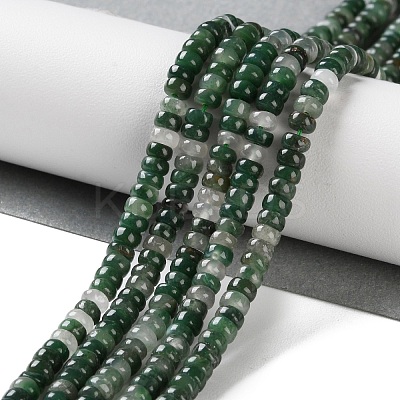 Natural Qinghai Jade Beads Strands G-K343-C31-01-1