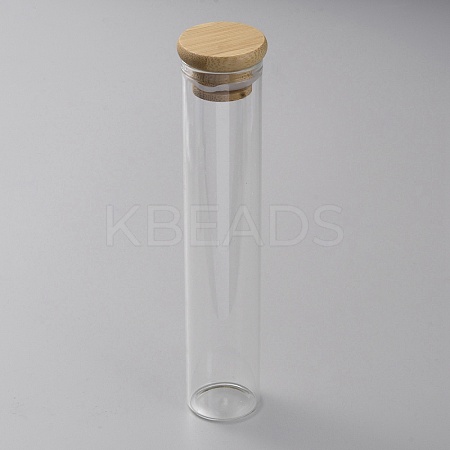 Glass Bead Storage Tubes LS-AJEW-WH0009-39B-1