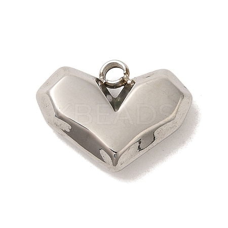 304 Stainless Steel Charms STAS-S131-06P-1