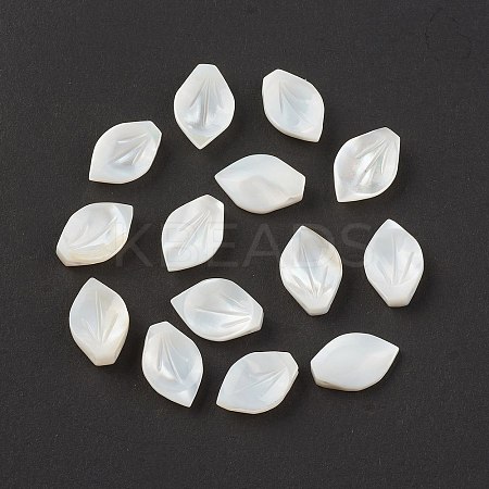 Natural Sea Shell Beads SSHEL-T012-15-1