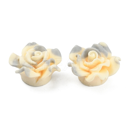Smudged Color Frosted Resin Cabochons RESI-TAC0018-13E-1