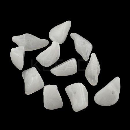 Chip Imitation Gemstone Acrylic Beads OACR-R021-24-1