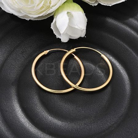 Brass Hoop Earrings EJEW-G474-01G-04-1