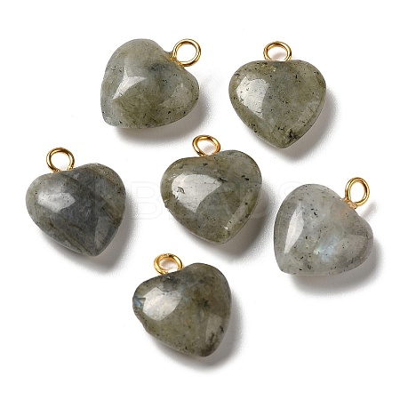 Natural Labradorite Pendants G-E603-01G-08-1