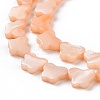 Natural Freshwater Shell Beads Strands SHEL-H002-02A-4