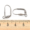 Non-Tarnish 304 Stainless Steel Leverback Earring Findings STAS-P360-02C-P-2