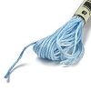 10 Skeins 6-Ply Polyester Embroidery Floss OCOR-K006-A36-2