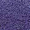 MIYUKI Round Rocailles Beads SEED-X0055-RR0432-3