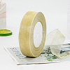 Polyester Organza Ribbon FABR-PW0001-003A-26-1