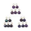 Dyed Natural Tiger Eye Round Charms PALLOY-JF04979-1