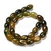 Natural Agate Beads Strands G-B079-E01-01F-3