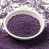 MIYUKI Round Rocailles Beads X-SEED-G009-RR4490-2