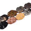Natural Gemstone Beads Strands G-T143-21C-1