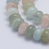 Natural Morganite Beads Strands G-L478-26-12mm-2