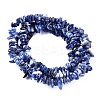 Natural Sodalite Chips Beads Strands LS-F024-3