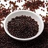 MIYUKI Round Rocailles Beads SEED-JP0009-RR0134-2