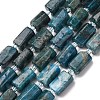 Natural Apatite Beads Strands G-L655-B03-01-2