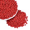 Opaque Glass Seed Beads SEED-N012-09A-12-1
