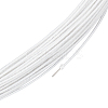 Iron Wire FIND-WH0419-87-1