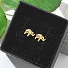 304 Stainless Steel Stud Earrings for Women LS-STAS-Z117-15G-04-2