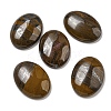 Natural Tiger Iron Cabochons G-C115-01B-28-1