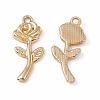 Alloy Pendants PALLOY-K259-05G-2