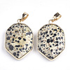 Natural Dalmatian Jasper Pendants G-S344-12B-2