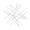 304 Stainless Steel Flat Head Pins STAS-Z089-03P-09-2