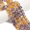 Natural Ametrine Beads Strands G-L634-E01-01-1