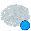 1 Set Resin Luminous Glow in the Dark Pebbles Stone DJEW-CN0001-40C-6