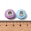 Spray Painted Faceted Resin European Beads RESI-C063-02F-3