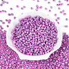 (Repacking Service Available) Glass Seed Beads SEED-C020-4mm-150-1