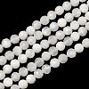 Natural Rainbow Moonstone Beads Strands G-B168-A11-3mm-2