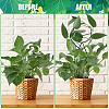 4Pcs 4 Styles Iron Flower Plant Supports FIND-CN0001-62C-6