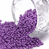 11/0 Grade A Baking Paint Glass Seed Beads X-SEED-N001-A-1052-1