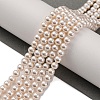 Baking Paint Pearlized Glass Pearl Round Bead Strands PEAR-H019-02A-02-2