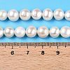 Natural Cultured Freshwater Pearl Beads Strands PEAR-N014-07J-5