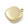 316 Surgical Stainless Steel Charms STAS-S159-02C-G-2