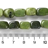 Natural Canadian Jade Beads Strands X-G-P497-01D-01-5