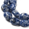 Natural Blue Spot Jasper Beads Strands G-M420-D08-01-4