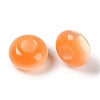 Resin European Beads RESI-F055-08-3