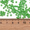 8/0 Baking Paint Glass Seed Beads SEED-M012-02A-39-4
